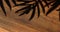 Shadow of a palm tree on a wooden brown background
