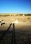 Shadow of people in desert