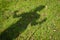 Shadow of a person doing nordic walking