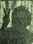 shadow of a person raising two fingers represents the empowerment. In times of bad circumstances, including the covid-19 crisis