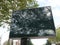 Shadow of a plane tree, projected on an empty billboard