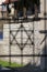 Shadow of Star of David on metal fence on Old Synagogue facade in Jewish district Kazimierz on Szeroka street, Krakow, Poland