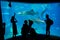 Shadow of tourists taking pictures and enjoying sea creatures at the Osaka Aquarium Kaiyukan in Osaka, Japan