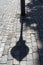 Shadowed cobbles on KÃ¤llargrÃ¤nd Stockholm