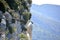 Shadowed front view of a griffon vulture in Baronnies, flying freely