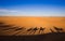 Shadows camel caravan on the desert sand