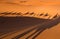 Shadows camel caravan on the desert sand