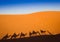 Shadows camel caravan on the desert sand