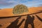 Shadows of a couple on camel dromedaries on the sand dunes