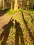 Shadows from a couple of tourists in the forest. Nice sunny weather for hiking in the woods. male shadow points to something with