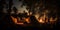 Shadows dancing on the tents from the flickering campfire, creating an ambiance of wilderness camping, concept of