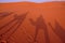 Shadows on the dunes in the desert of Morocco
