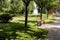 Shadows on grass and walkway near wooden bench