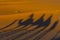 Shadows Of A Group Of Travelers Are Seen In The Sand As They Walk Through The Saharan Desert In Morocco, Africa