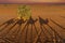 Shadows Of A Group Of Travelers Are Seen In The Sand As They Walk Through The Saharan Desert In Morocco, Africa