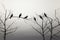 Shadows in harmony monochrome image features birds silhouetted on branches