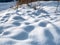 Shadows on the morning snow, snow-covered tracks