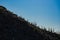 Shadows of the Side of a Hillside Covered in Saguaro