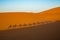 Shadows of tourist in a caravan riding dromedaries in the Sahara desert sand dunes near Merzouga