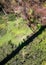 Shadows of tourists on a suspension bridge is cast onto greenery of souther California desert greenery during winter