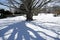 Shadows of tree outside the Breakers Mansion - Newport, Connecticut, USA