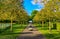 Shadowy alley, Keukenhof Park, Lisse in Holland