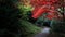 Shadowy autumn pathway in arboretum with rich red coloured decorative palmate maple tree above.