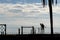 Shadowy silhouettes of several people exercising at the beach