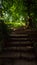 Shadowy steps through a wooded park trail leading up a steep hill