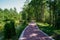 Shady asphalted path in sunny summer