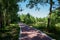 Shady asphalted way by lake in sunny summer