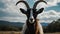 Shady Caprine Charm The Flirtatious Goat with Dark Glasses and a Bun