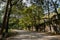 Shady curving uphill road in abandoned 1960s` factory