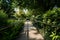 Shady fenced path in sunny summer afternoon