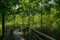 Shady fenced and planked footbridge zigzagging in woods of sunny