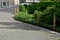 Shady flowerbed in the undergrowth of linden alley. ivy and ferns dominate. the bed is separated, bounded by a fence with poles in