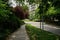 Shady forked road in verdant city of sunny summer