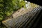 Shady lichen-covered tiled roof in sunny winter