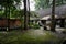 Shady lichen-covered yard of ancient Chinese dwelling building