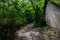 Shady muddy path outside dilapidated farmhouse in sunny summer