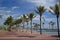 Shady palm trees stand on Durban\'s beachfront.