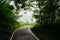 Shady path in cloudy raining summer morning