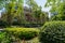 Shady pavement in plants and trees before dwelling buildings on