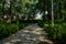 Shady pavement in woods at city on sunny summer day