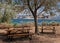 Shady Picnic Area Under A Tree At Wahweap Marina At Lake Powell Arizona