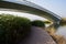 Shady planked path over lake in plants under arch bridge on sunny winter day