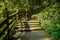 Shady planked stairway on mountainside in sunny winter