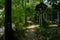 Shady riverside path before fenced farmhouse in sunny summer