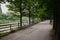 Shady road along river in sunny summer