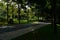 Shady road with footpath alongside in sunny summer morning